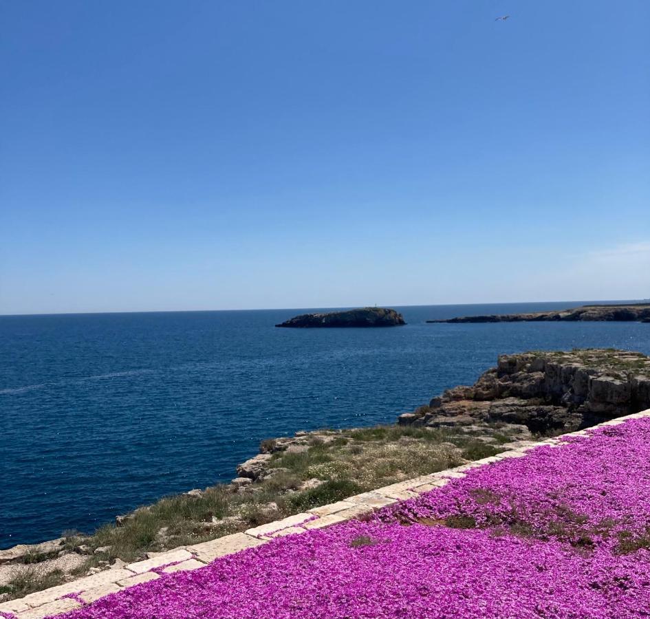 Essence Appartament Polignano a Mare Buitenkant foto